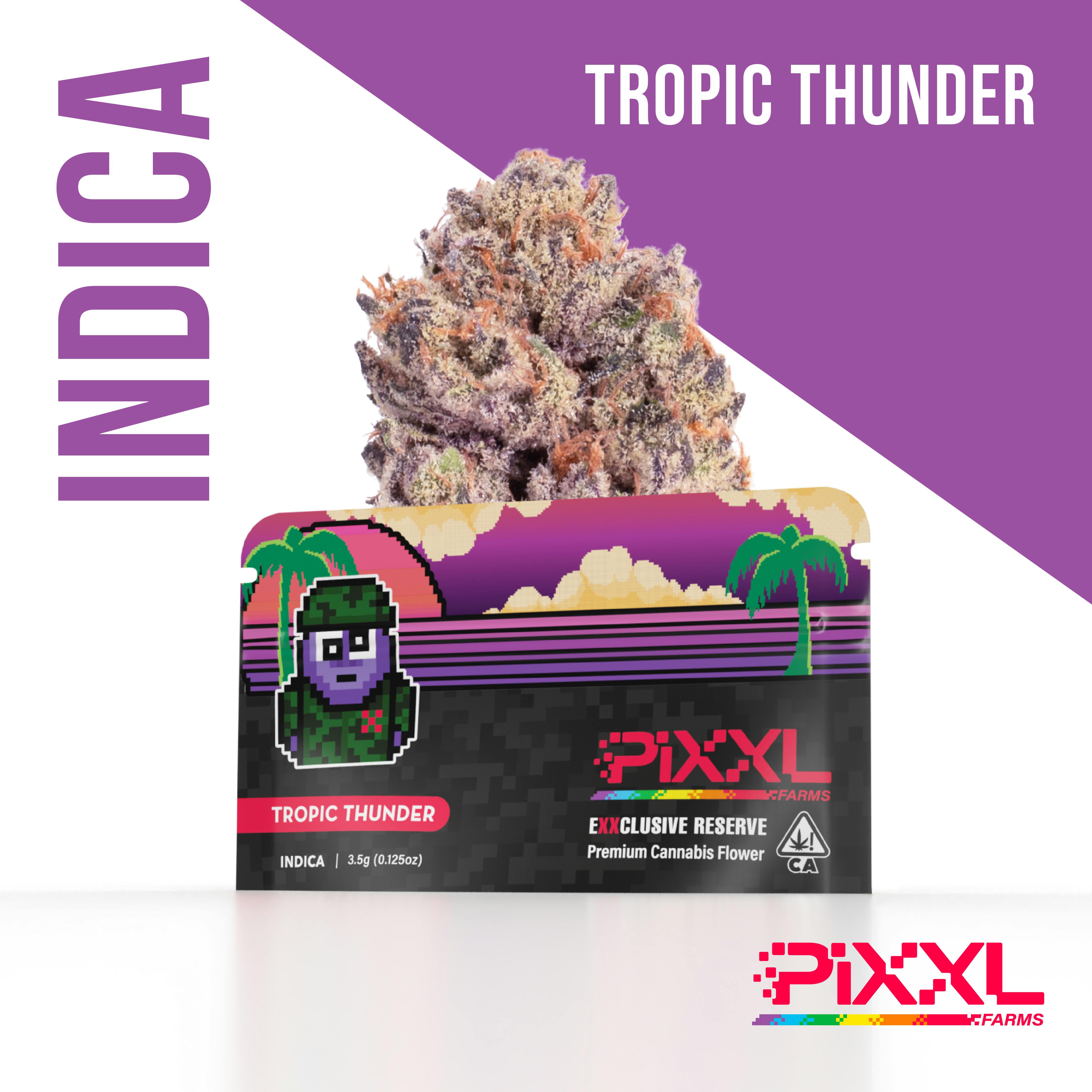 Tropic Thunder 3.5g (Pixxl)