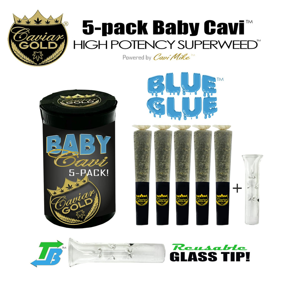 Caviar Gold l Baby Cavi l Blue Glue l 2.5g 5pk (Caviar Gold)