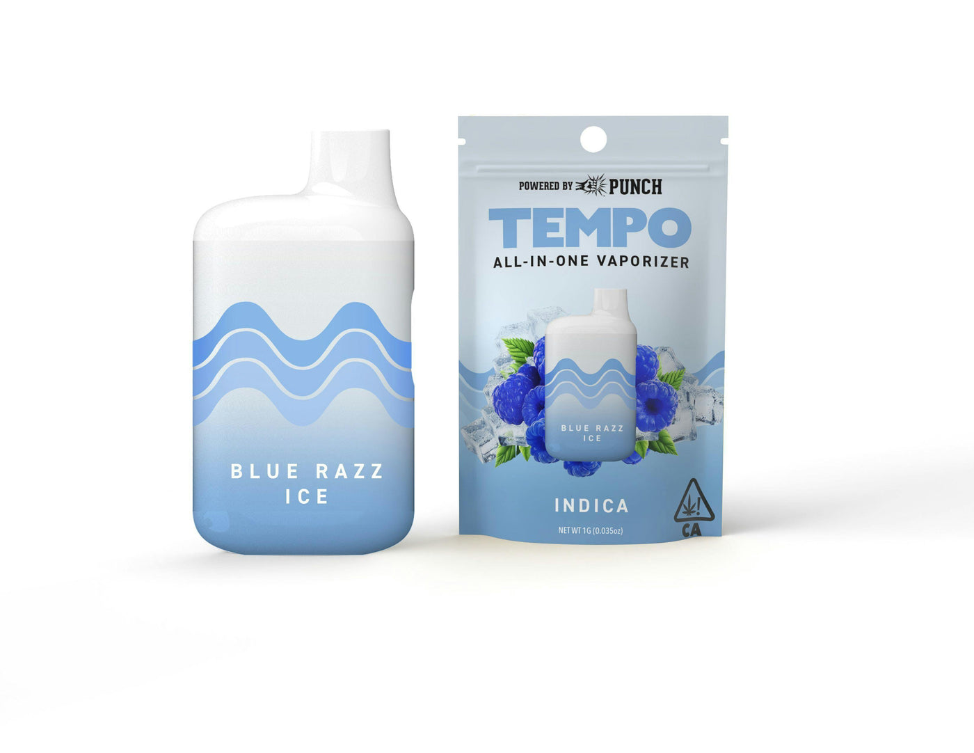 Blue Razz IceAll In One Disposable Vape 1g (Tempo)