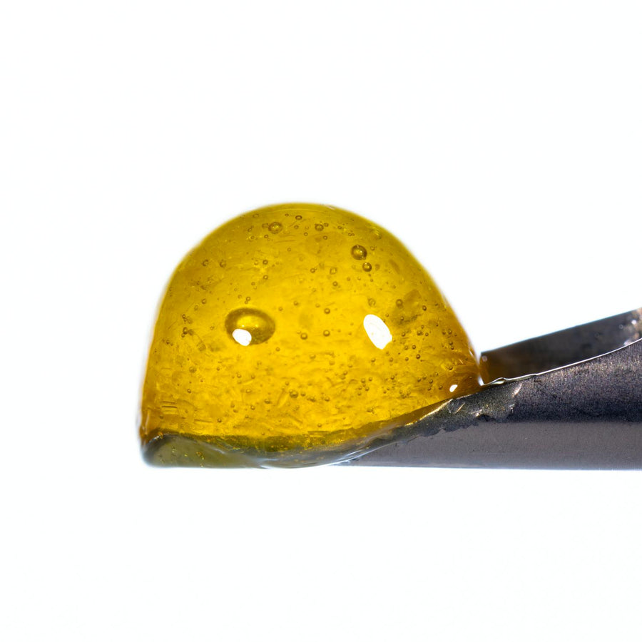 Banana Punch Live Rosin Jam Tier 2- 1g (West Coast Cure)
