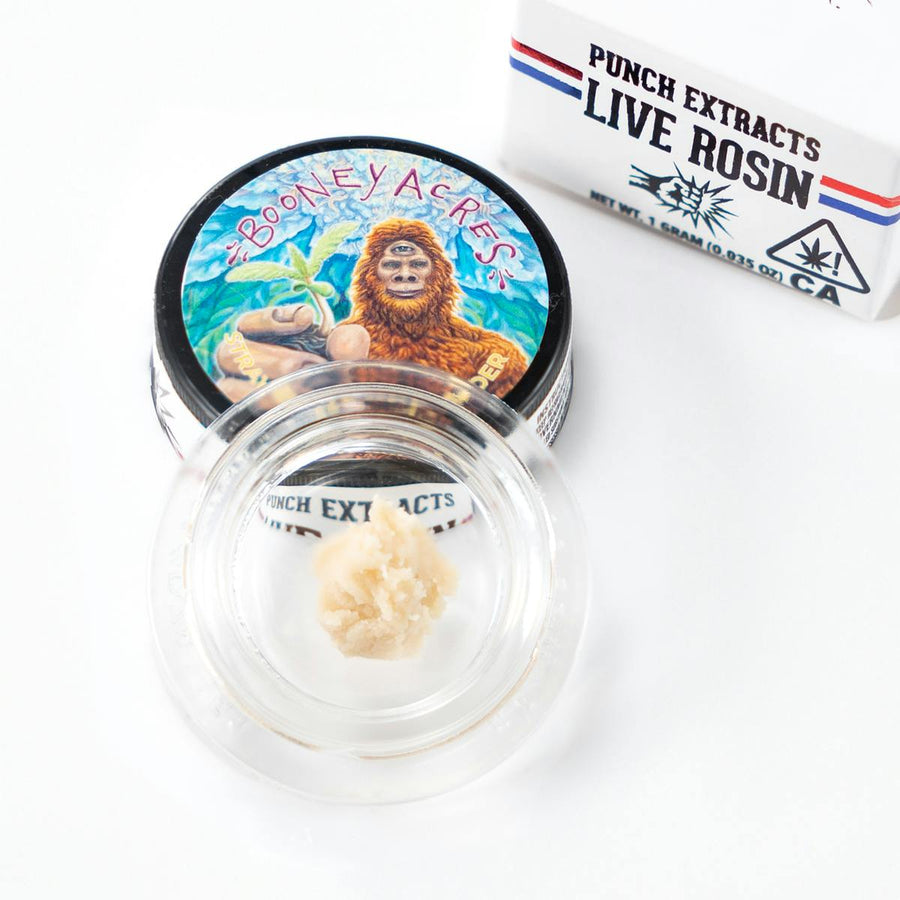 Strawberry OGZ Tier 2 Live Rosin Cold Cure Badder 1g (Punch Edibles & Extracts)