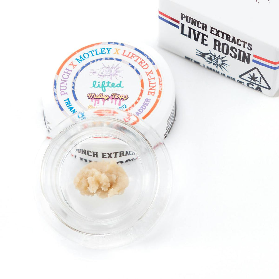 Triangle Papaya Jelly Tier 4 Live Rosin Cold Cure Badder 1g (Punch Edibles & Extracts)