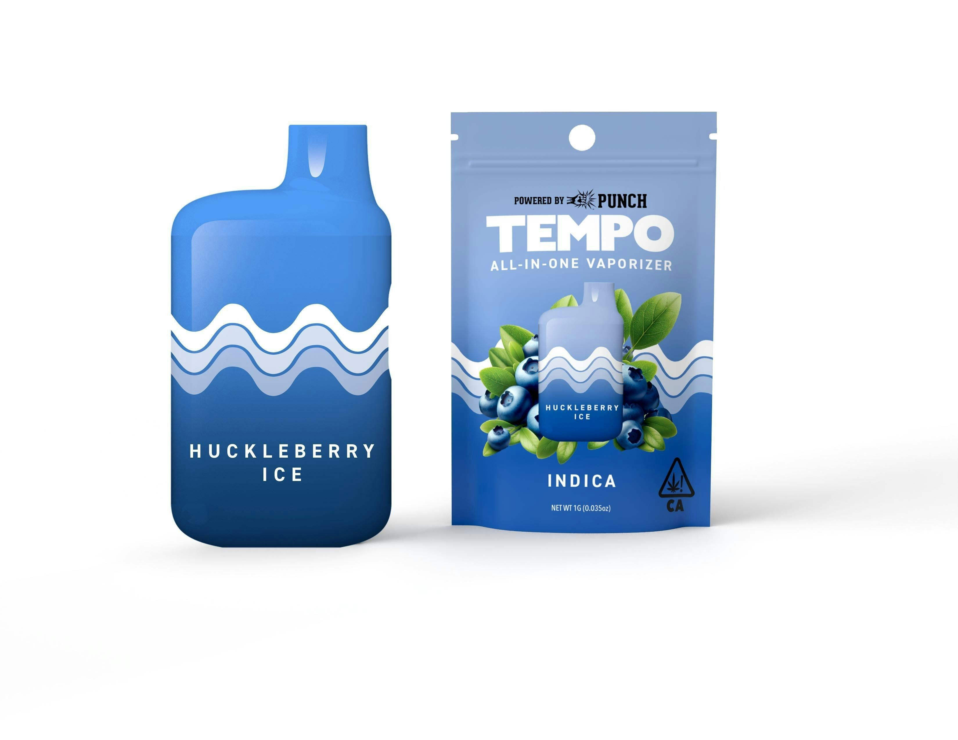 Huckleberry Ice All In One Disposable Vape 1g (Tempo)