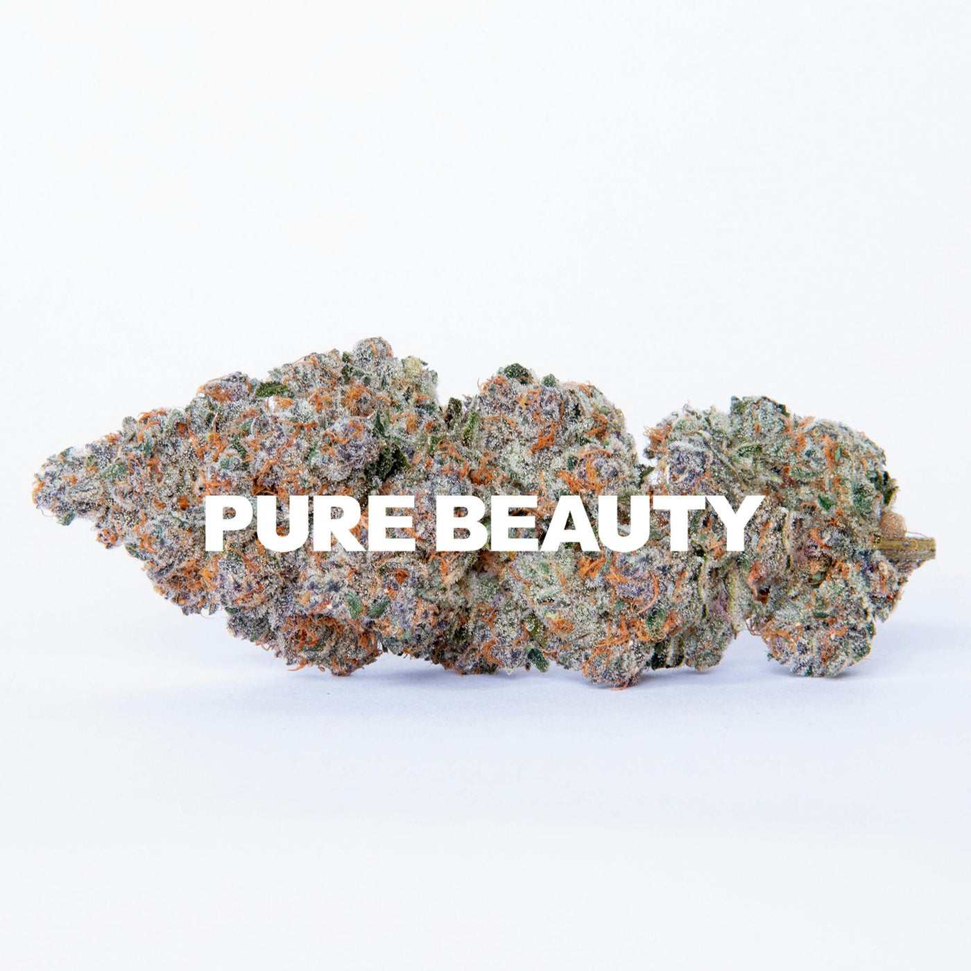 Midnight Snack 3.5g Flower (Pure Beauty)