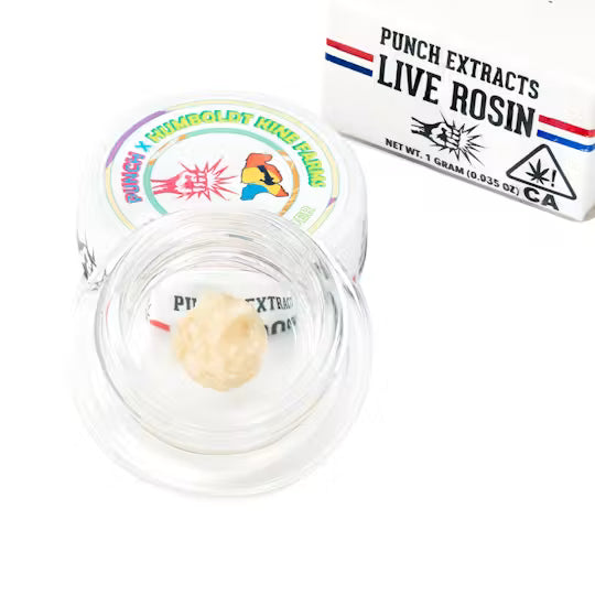 Bahama Bananaz Tier 2 Live Rosin Cold Cure Badder 1g (Punch Edibles & Extracts)