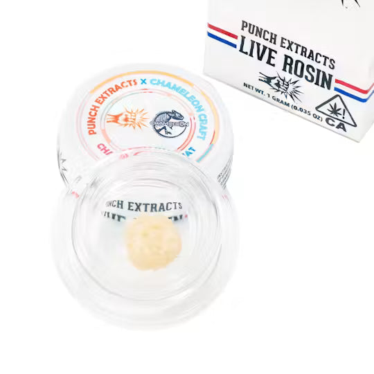 Chameleon Kumquat Tier 2 Live Rosin Cold Cure Badder 1g (Punch Edibles & Extracts)