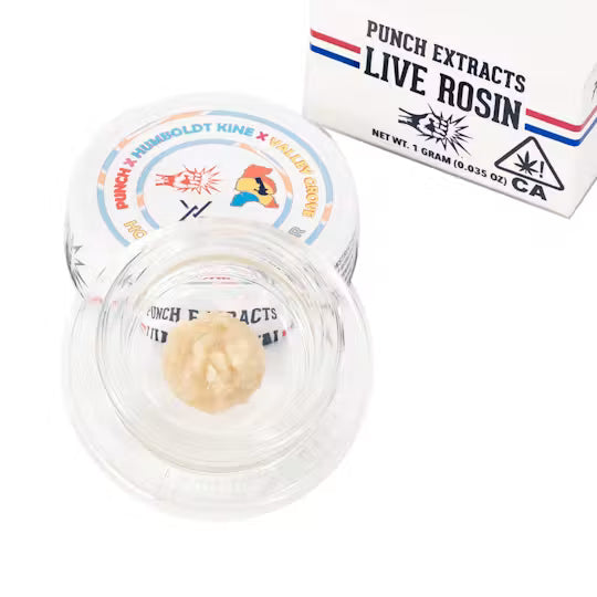 Honey Oishii Tier 3 Live Rosin Cold Cure Badder 1g (Punch Edibles & Extracts)