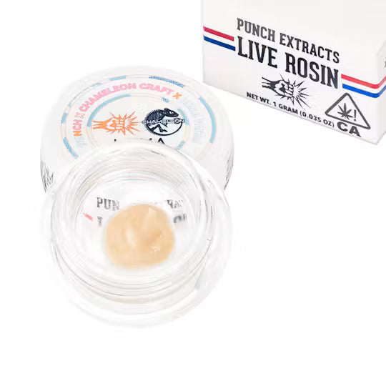 Blue Melomade Tier 2 Live Rosin Cold Cure Badder 1g (Punch Edibles & Extracts)