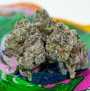 Gummy Toad 3.5g (Gooniez)