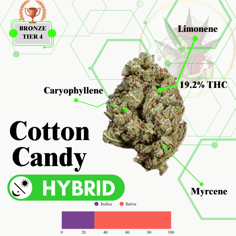 COTTON CANDY (HYBRID) -PR