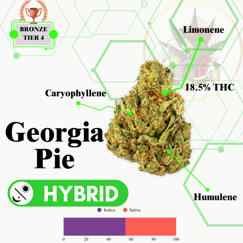 GEORGIA PIE (HYBRID) -PR