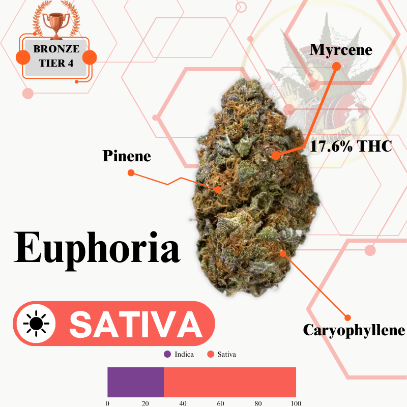 EUPHORIA (SATIVA) -PR