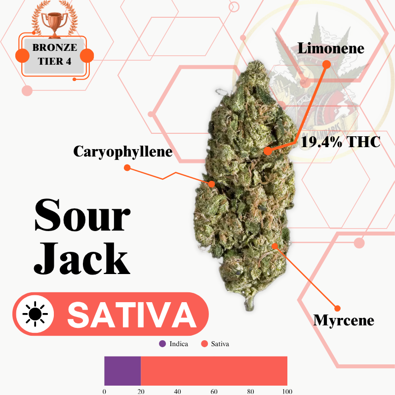 SOUR JACK (SATIVA) -PR