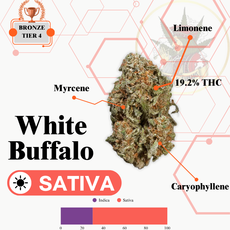 WHITE BUFFALO (SATIVA) -PR