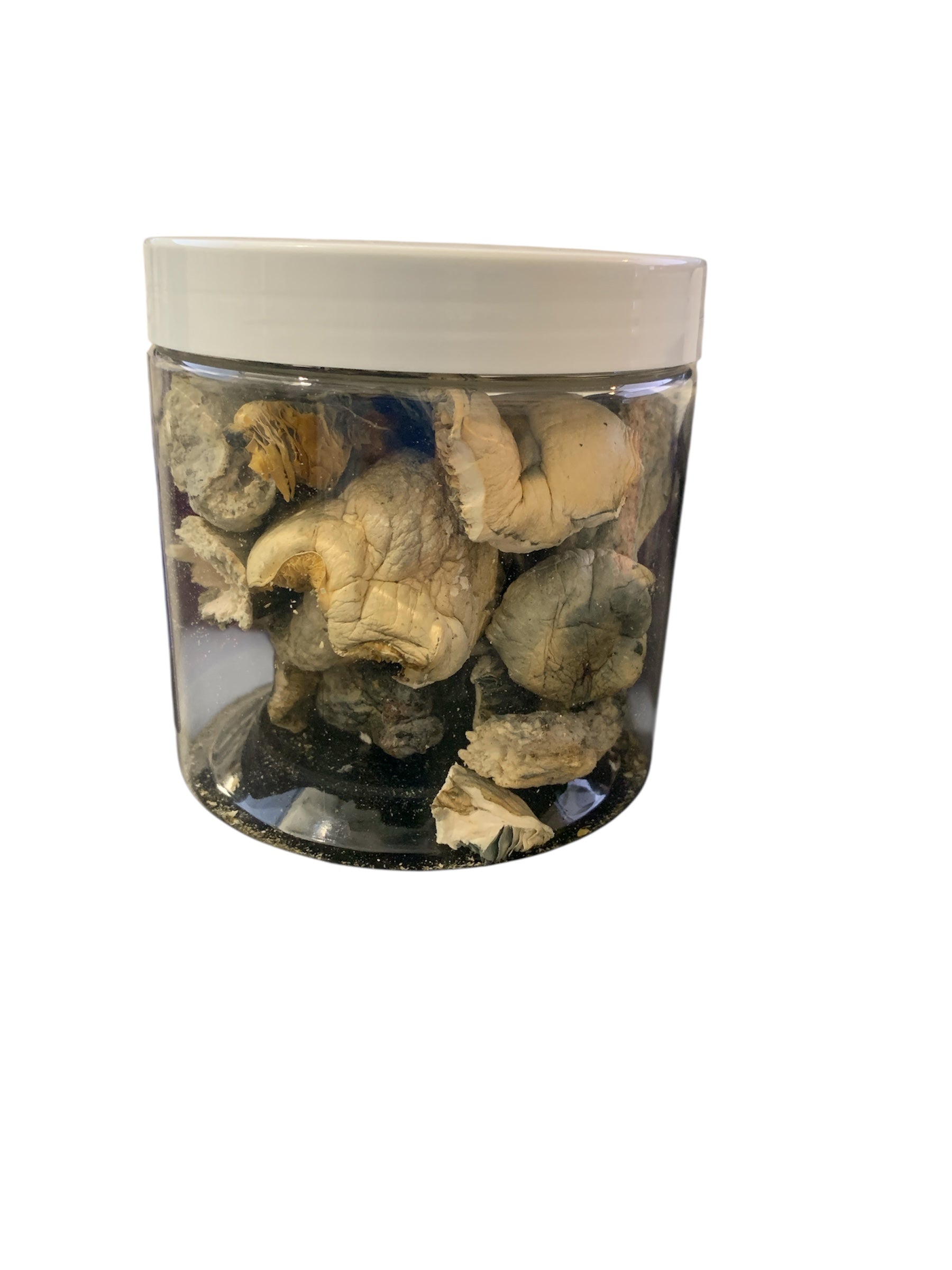 GOLDEN FLEECE - psilocybe cubensis organic fruiting body 28G PENIS ENVY