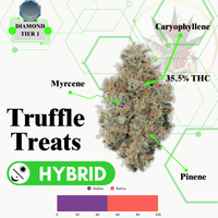 TRUFFLE TREATS (HYBRID) -VIP