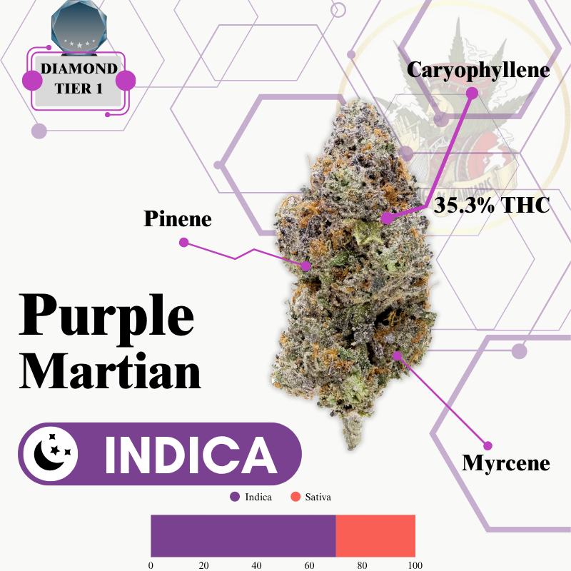PURPLE MARTIAN (INDICA) -VIP