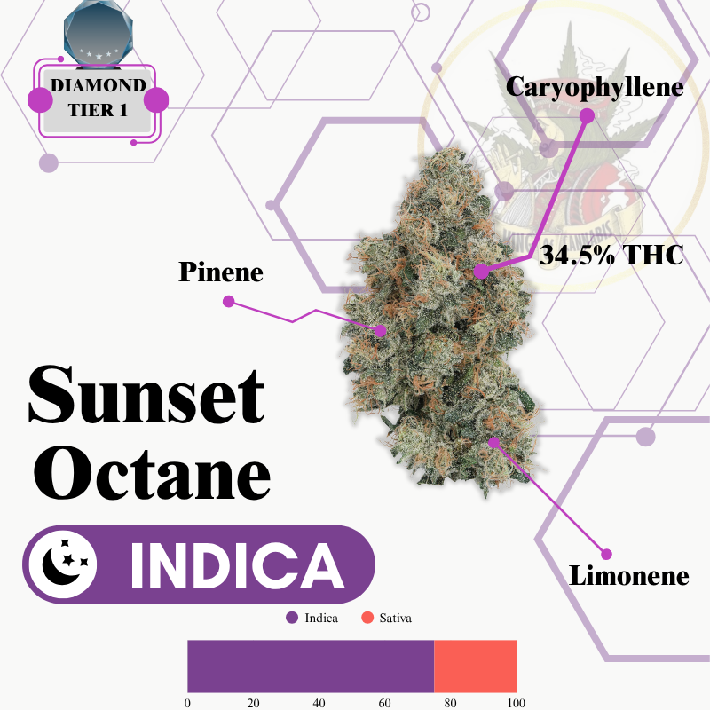 SUNSET OCTANE (INDICA) -VIP