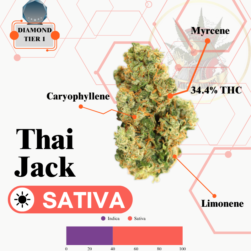 THAI JACK (SATIVA) -VIP