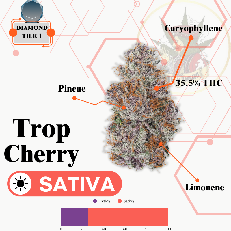 TROP CHERRY(SATIVA) -VIP
