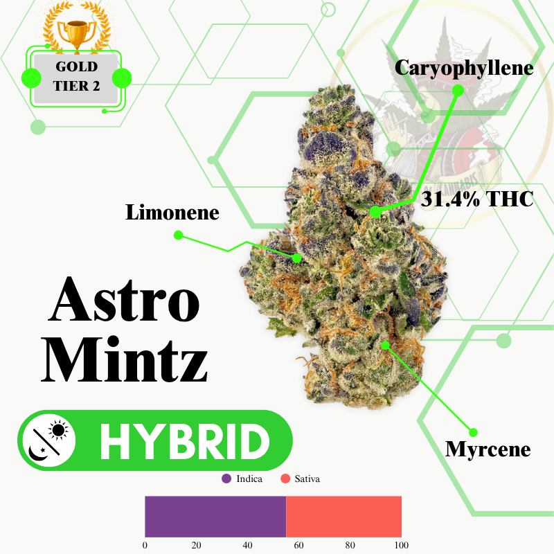 ASTRO MINTZ (HYBRID) -SUPREME