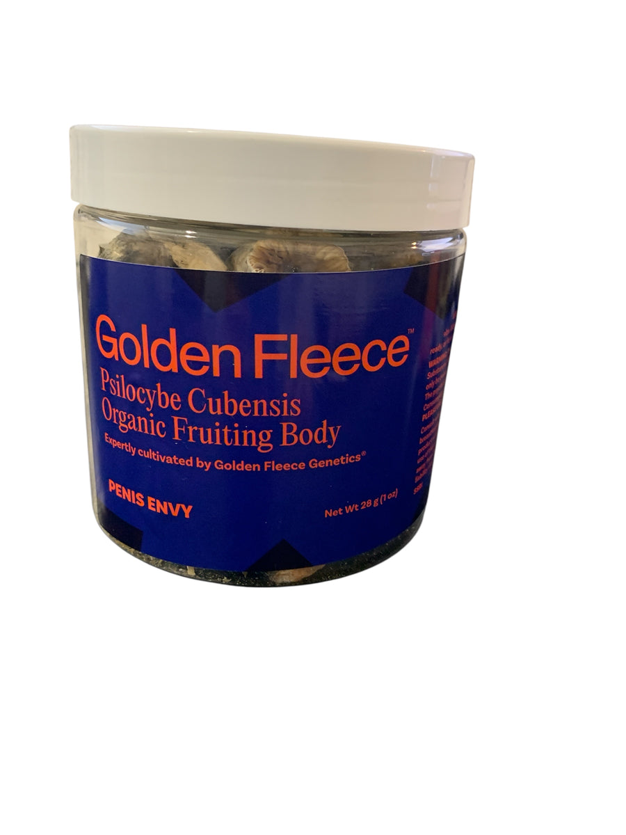GOLDEN FLEECE - psilocybe cubensis organic fruiting body 28G PENIS ENVY