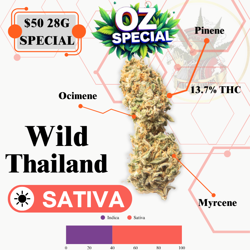 Wild Thailand (OUTDOOR LOW QUALITY FLOWER)