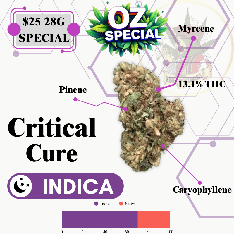 Critical Cure (LOW SPECIAL)