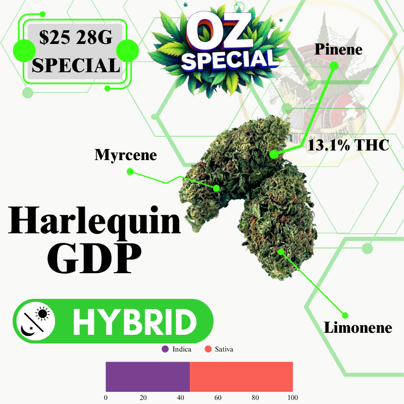 Harlequin GDP (LOW SPECIAL)