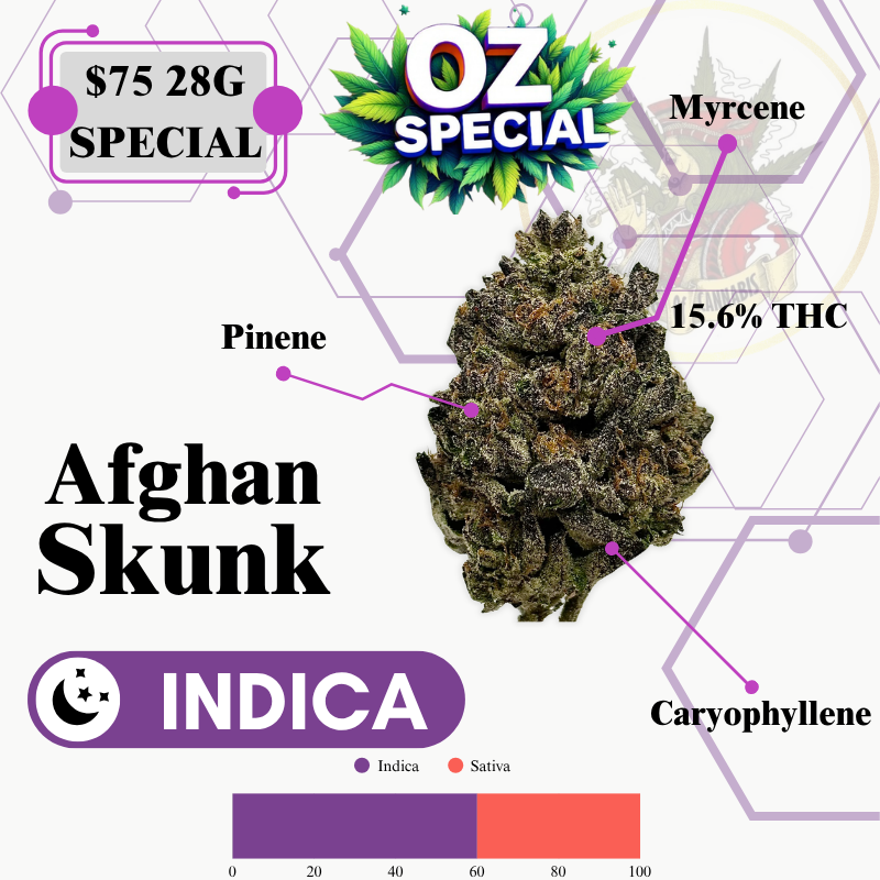 Afghan Skunk (MID OUTDOOR SPECIAL)