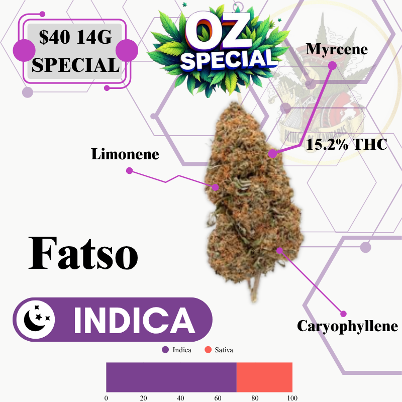 Fatso (MID OUTDOOR SPECIAL)