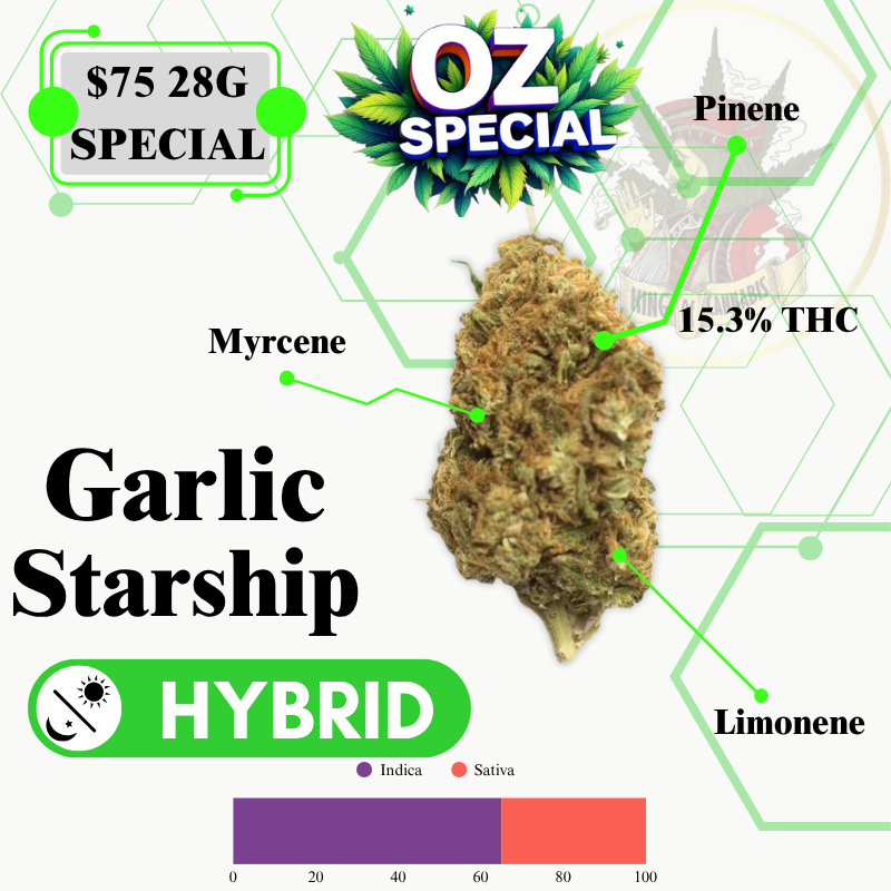 Garlic Starship (MID OUTDOOR SPECIAL)