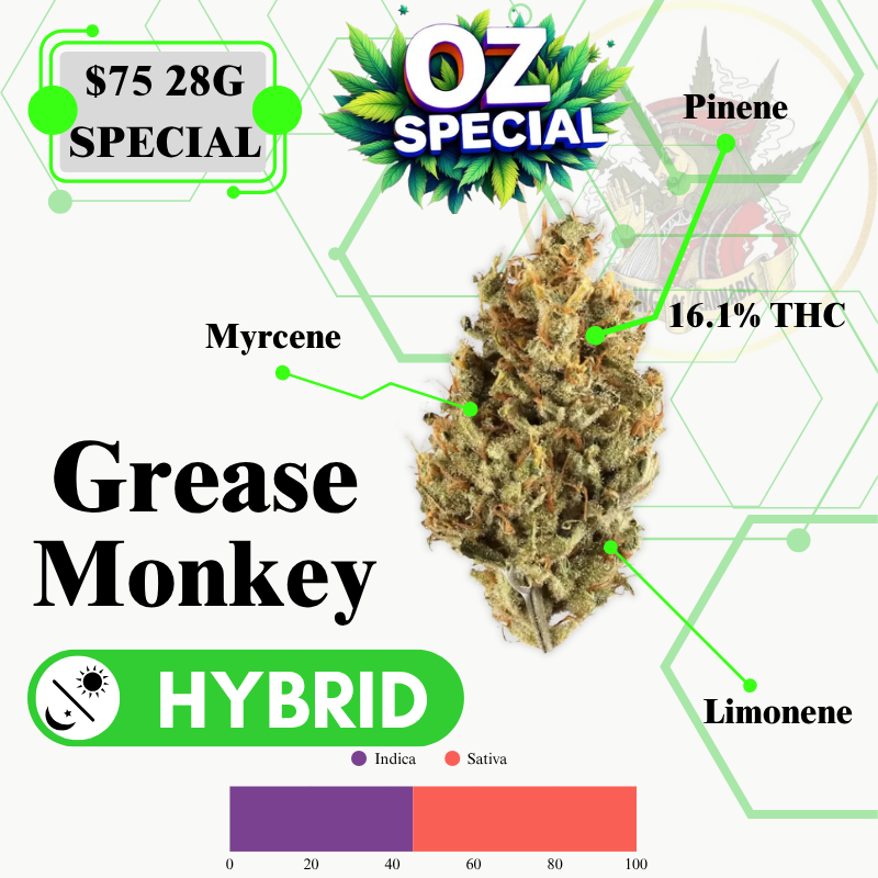 Grease Monkey (MID OUTDOOR SPECIAL)