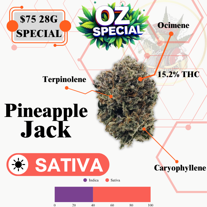 Pineapple Jack (MID OUTDOOR SPECIAL)