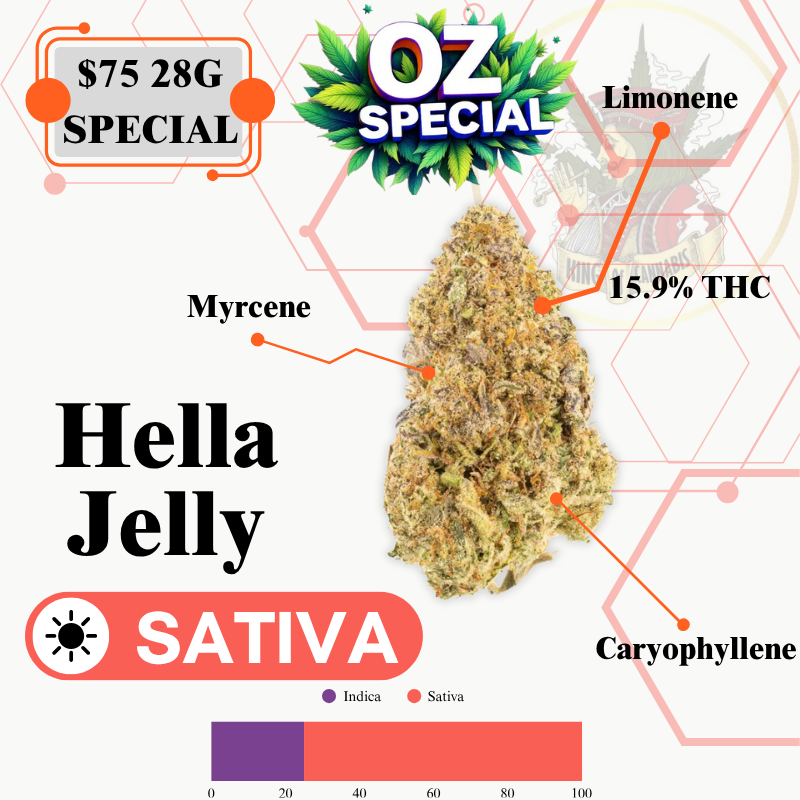 Hella Jelly (MID OUTDOOR SPECIAL)