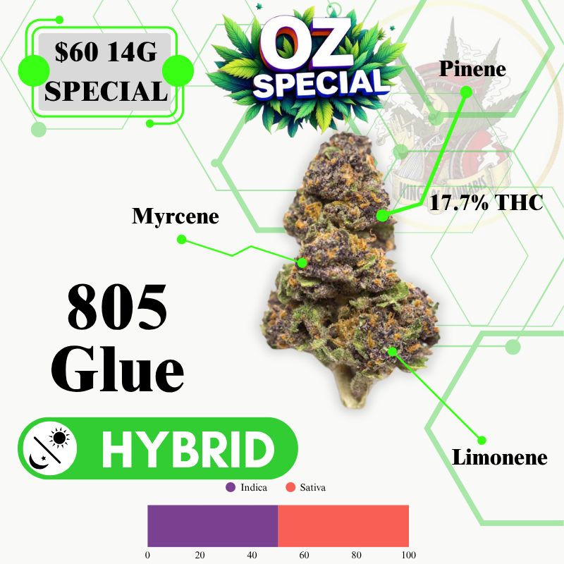805 GLUE (HYBRID) -MIDSHELF
