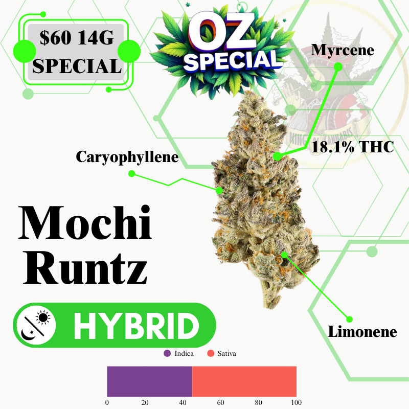 MOCHI RUNTZ (HYBRID)-MIDSHELF