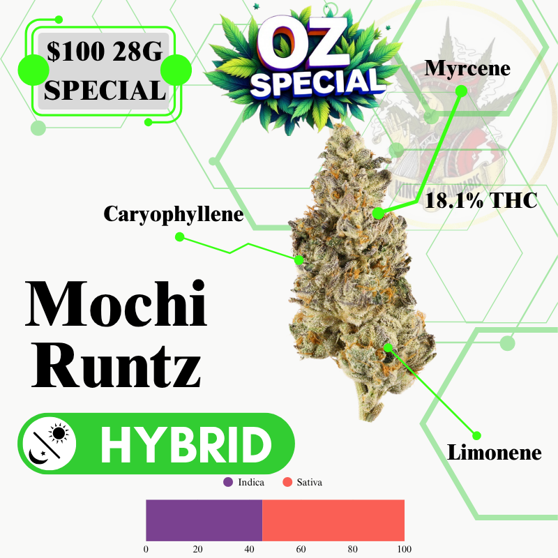MOCHI RUNTZ (HYBRID)-MIDSHELF