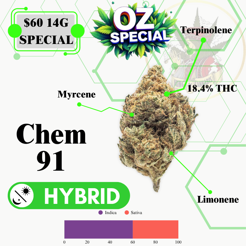 CHEM 91 (HYBRID)-MIDSHELF