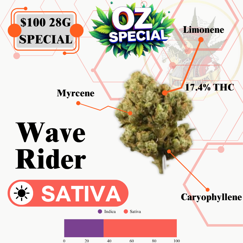 WAVE RIDER (SATIVA)-MIDSHELF