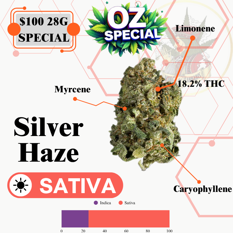 SILVER HAZE (SATIVA)-MIDSHELF