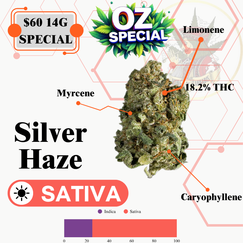 SILVER HAZE (SATIVA)-MIDSHELF