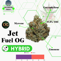 JET FUEL OG (HYBRID) -VIP