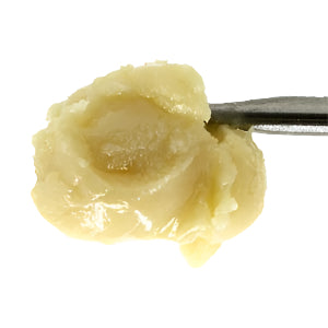 Rick James #3 Persy Badder (710 labs)