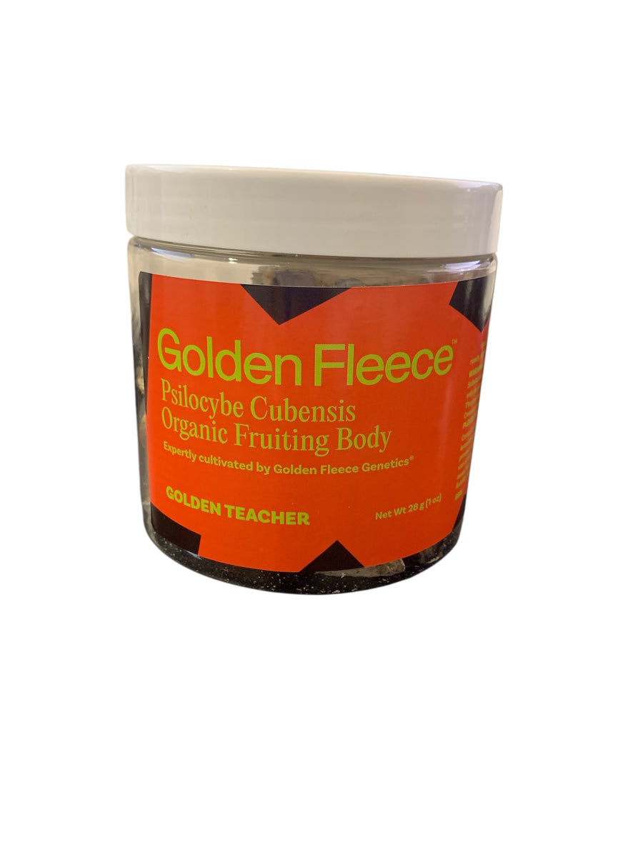 GOLDEN FLEECE - PSILOCYBE CUBENSIS ORGANIC FRUITING BODY 28G GOLDEN TEACHER