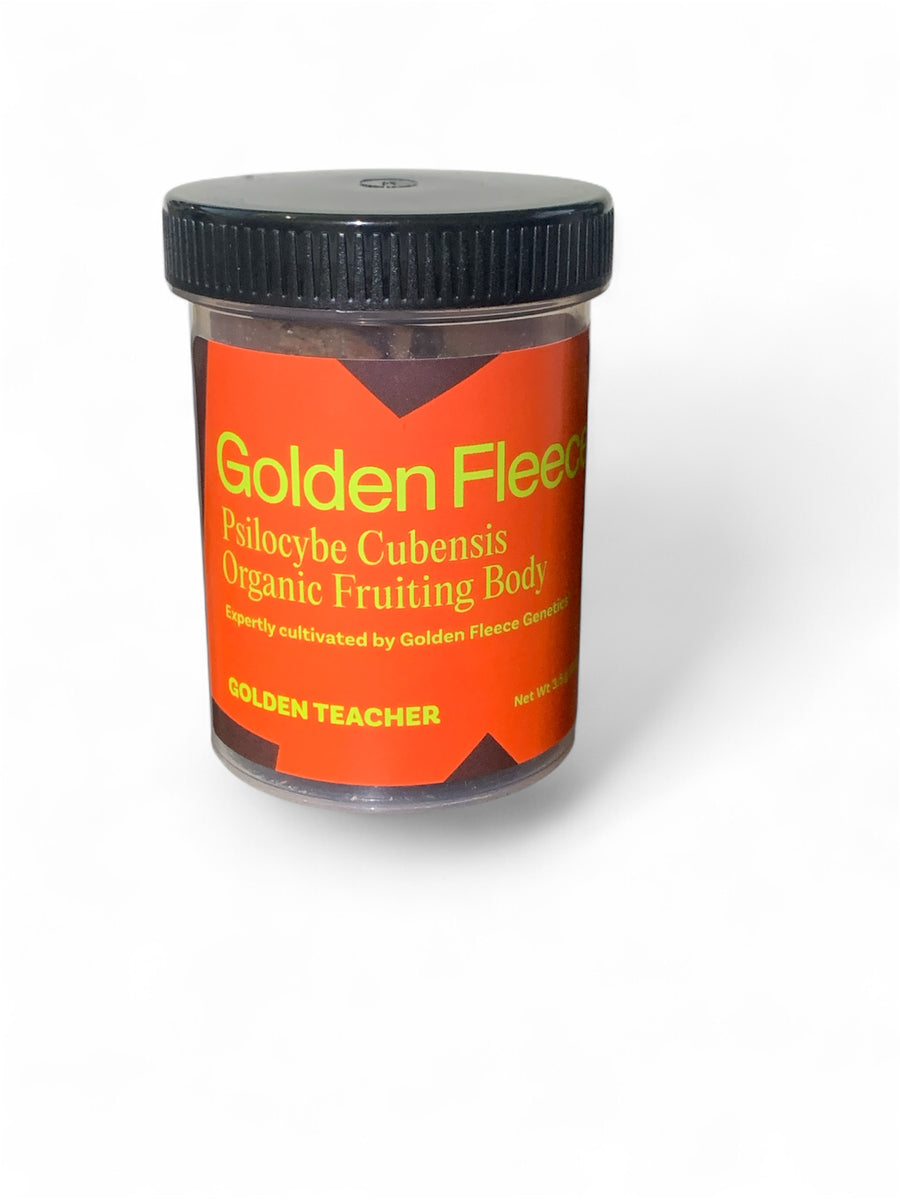 GOLDEN FLEECE - PSILOCYBE CUBENSIS ORGANIC FRUITING BODY 3.5 GOLDEN TEACHER