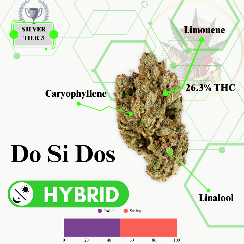 DO SI DOS (HYBRID) -EXCLUSIVE