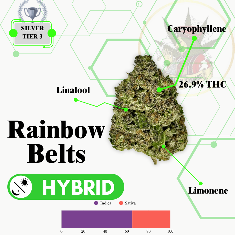 RAINBOW BELTS (HYBRID) -EXCLUSIVE