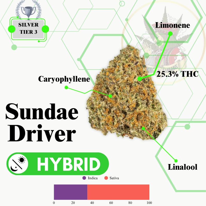 SUNDAE DRIVER (HYBRID) -EXCLUSIVE