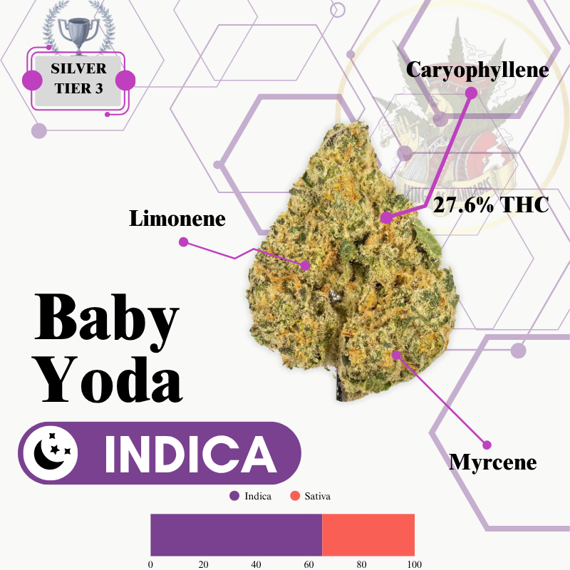 BABY YODA (INDICA) -EXCLUSIVE